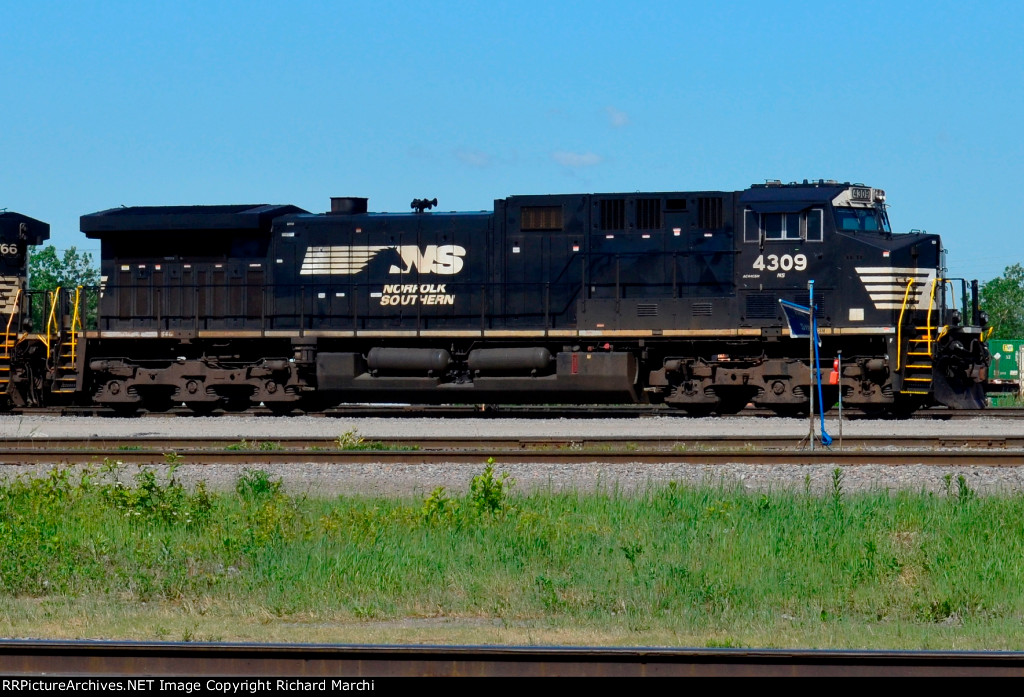 NS 4309